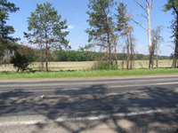 Киевская обл.Макаровский р-н.Лишня. - <ro>Изображение</ro><ru>Изображение</ru> #1, <ru>Объявление</ru> #341174