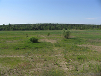 Киевская обл.Макаровский р-н.ад.Кодра.Ж/д ветка.Промышленная. - <ro>Изображение</ro><ru>Изображение</ru> #4, <ru>Объявление</ru> #341219