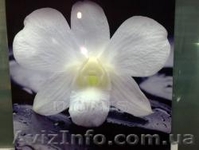 Декоративная обработка стекла/зеркала для мебельных производств. - <ro>Изображение</ro><ru>Изображение</ru> #2, <ru>Объявление</ru> #355297