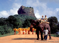 Каникулы на Шри-Ланке - <ro>Изображение</ro><ru>Изображение</ru> #3, <ru>Объявление</ru> #367141
