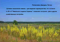 Земельные участки 12соток по цене 5000$ за участок. - <ro>Изображение</ro><ru>Изображение</ru> #4, <ru>Объявление</ru> #349991