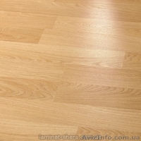 Ламинат TARKETT WOODSTOCK 32 класс - <ro>Изображение</ro><ru>Изображение</ru> #2, <ru>Объявление</ru> #394676