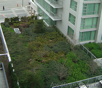 ландшафтний дизайн від Патоля:газони та водоєми                                  - <ro>Изображение</ro><ru>Изображение</ru> #3, <ru>Объявление</ru> #384363