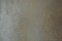  декоративная отделка стен - <ro>Изображение</ro><ru>Изображение</ru> #7, <ru>Объявление</ru> #224255