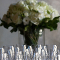 Флористическое оформление - <ro>Изображение</ro><ru>Изображение</ru> #1, <ru>Объявление</ru> #393150