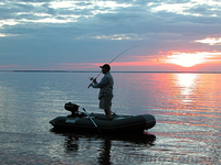 надувные лодки ПВХ Aviks - <ro>Изображение</ro><ru>Изображение</ru> #1, <ru>Объявление</ru> #404204