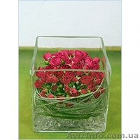 Аграрный гидрогель - <ro>Изображение</ro><ru>Изображение</ru> #3, <ru>Объявление</ru> #400193