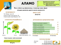 Семена подсолнечника Жалон,Атланта,Аламо,Ягуар - <ro>Изображение</ro><ru>Изображение</ru> #2, <ru>Объявление</ru> #420512