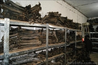 Запчасти, разборка и СТО опель - <ro>Изображение</ro><ru>Изображение</ru> #1, <ru>Объявление</ru> #455752