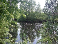 Участок 25 сот, с. Николаевка (23 км от КП) - <ro>Изображение</ro><ru>Изображение</ru> #1, <ru>Объявление</ru> #456104