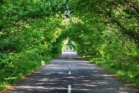 Оболонский р-н.Пуща-Водица Дом - <ro>Изображение</ro><ru>Изображение</ru> #3, <ru>Объявление</ru> #465474