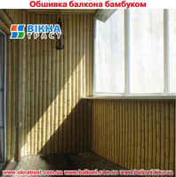 Обшивка балконов и лоджий. - <ro>Изображение</ro><ru>Изображение</ru> #9, <ru>Объявление</ru> #310133