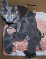 Серебристый подарок под/на ёлку - <ro>Изображение</ro><ru>Изображение</ru> #1, <ru>Объявление</ru> #460531