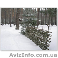 Загородный Клуб "Пастораль".Загородный отдых в Киевской области - <ro>Изображение</ro><ru>Изображение</ru> #3, <ru>Объявление</ru> #476776