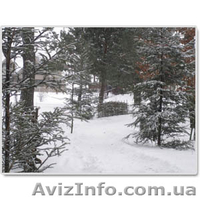 Загородный Клуб "Пастораль".Загородный отдых в Киевской области - <ro>Изображение</ro><ru>Изображение</ru> #4, <ru>Объявление</ru> #476776