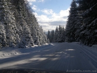 Запрошуємо на Новий Рік у Карпати на ранчо "Синьогорія" - <ro>Изображение</ro><ru>Изображение</ru> #4, <ru>Объявление</ru> #459304