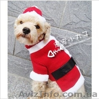 Одежда для собак по очень хорошим ценам - <ro>Изображение</ro><ru>Изображение</ru> #7, <ru>Объявление</ru> #462858