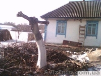 Продаётся дом в селе В.Вильшанка, Васильковский р-н - <ro>Изображение</ro><ru>Изображение</ru> #1, <ru>Объявление</ru> #496355