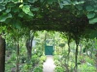 Продам участок в Боярке. - <ro>Изображение</ro><ru>Изображение</ru> #2, <ru>Объявление</ru> #158670