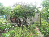 Продам участок в Боярке. - <ro>Изображение</ro><ru>Изображение</ru> #3, <ru>Объявление</ru> #158670