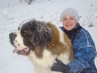 Московская сторожевая-элитные щенки от Чемпиона Украины - <ro>Изображение</ro><ru>Изображение</ru> #3, <ru>Объявление</ru> #515114