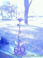 Художественная ковка и сварочные работы - <ro>Изображение</ro><ru>Изображение</ru> #3, <ru>Объявление</ru> #497193