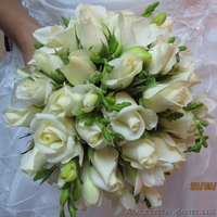 Свадебная арка на прокат, Аренда свадебной арки,  Арка для выездной церемонии - <ro>Изображение</ro><ru>Изображение</ru> #6, <ru>Объявление</ru> #509022