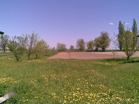 Продам дом в Севериновке - <ro>Изображение</ro><ru>Изображение</ru> #6, <ru>Объявление</ru> #523839