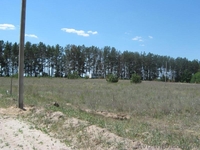 осыково под застройку - <ro>Изображение</ro><ru>Изображение</ru> #1, <ru>Объявление</ru> #536672