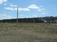 осыково под застройку - <ro>Изображение</ro><ru>Изображение</ru> #3, <ru>Объявление</ru> #536672