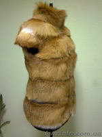 жилетка  из  натуральной  лисы. - <ro>Изображение</ro><ru>Изображение</ru> #2, <ru>Объявление</ru> #563667