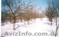 Продам дом Сквирский р-н с. Ленинское - <ro>Изображение</ro><ru>Изображение</ru> #6, <ru>Объявление</ru> #589435