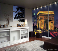 Изготовление шкафов -купе по индивидуальным  заказам - <ro>Изображение</ro><ru>Изображение</ru> #3, <ru>Объявление</ru> #562639