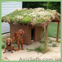 ландшафтный дизайн от Патоля : зеленые  крыши и газоны  - <ro>Изображение</ro><ru>Изображение</ru> #1, <ru>Объявление</ru> #568158