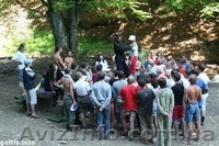 Исцеляющий Импульс Голтиса с Олегом Соколовым - <ro>Изображение</ro><ru>Изображение</ru> #1, <ru>Объявление</ru> #595602