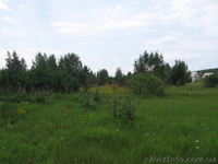 Продаются два земельных участка по 12 соток ., Пгт. Макаров(с.Фасова) - <ro>Изображение</ro><ru>Изображение</ru> #3, <ru>Объявление</ru> #592888