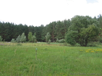 Продаются два земельных участка по 12 соток ., Пгт. Макаров(с.Фасова) - <ro>Изображение</ro><ru>Изображение</ru> #4, <ru>Объявление</ru> #592888