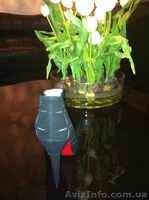 Продам женские ботинки - <ro>Изображение</ro><ru>Изображение</ru> #2, <ru>Объявление</ru> #590925