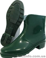 сапоги резиновые - <ro>Изображение</ro><ru>Изображение</ru> #1, <ru>Объявление</ru> #565578