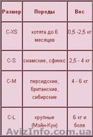 антицарапки для кошек - <ro>Изображение</ro><ru>Изображение</ru> #3, <ru>Объявление</ru> #582742