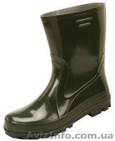 сапоги резиновые - <ro>Изображение</ro><ru>Изображение</ru> #2, <ru>Объявление</ru> #565578