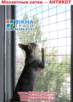 Сетки антикот и антикошка на окна и двери балконные - <ro>Изображение</ro><ru>Изображение</ru> #2, <ru>Объявление</ru> #598447