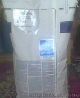 Семена подсолнечника Сингента - <ro>Изображение</ro><ru>Изображение</ru> #3, <ru>Объявление</ru> #549504