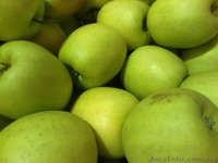 Frukti v Ispanii! Lleida. Kostochkovie frukti. - <ro>Изображение</ro><ru>Изображение</ru> #8, <ru>Объявление</ru> #608281