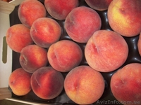 Frukti v Ispanii! Lleida. Kostochkovie frukti. - <ro>Изображение</ro><ru>Изображение</ru> #3, <ru>Объявление</ru> #608281