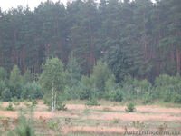 Уникальные земельные участки под застройку - <ro>Изображение</ro><ru>Изображение</ru> #1, <ru>Объявление</ru> #610110