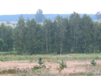 Уникальные земельные участки под застройку - <ro>Изображение</ro><ru>Изображение</ru> #4, <ru>Объявление</ru> #610110