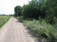 с.Степок Обуховского р-на - <ro>Изображение</ro><ru>Изображение</ru> #2, <ru>Объявление</ru> #614604