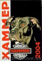 Продам чистокровных, красивенных  щенков ПИТБУЛЯ - <ro>Изображение</ro><ru>Изображение</ru> #2, <ru>Объявление</ru> #605987