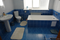 Ходосовка, К-Святошинский район - <ro>Изображение</ro><ru>Изображение</ru> #1, <ru>Объявление</ru> #552814